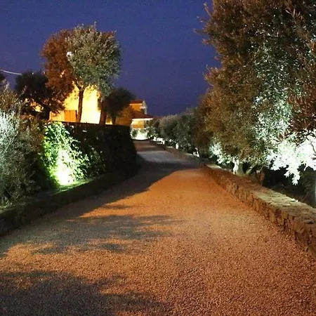 Quinta Do Pombal - Douro - Camila's Lamego